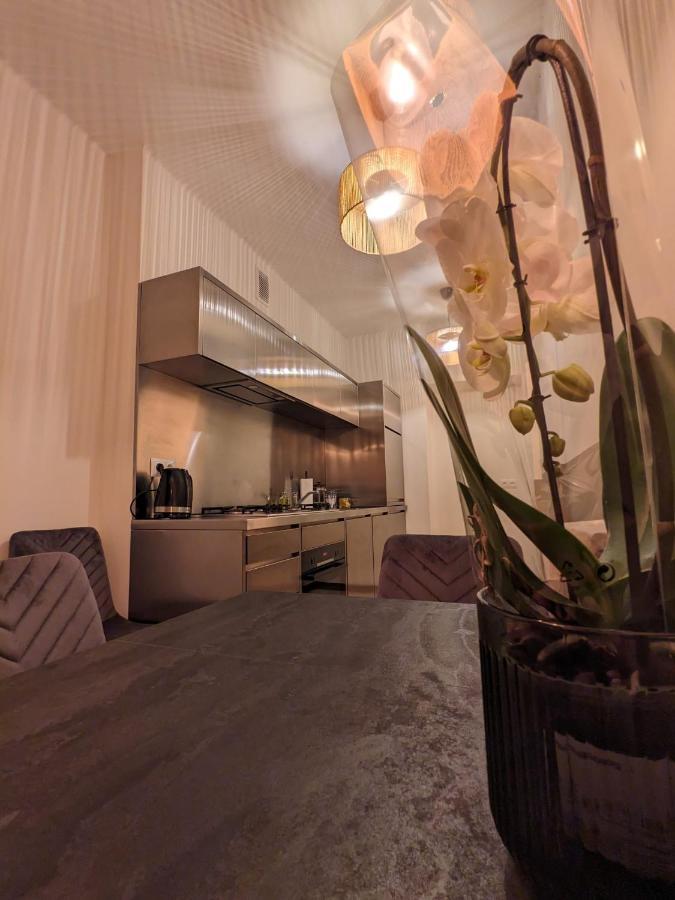 Spacious Two-Bedroom Apartment In The City Center Kraków Eksteriør billede